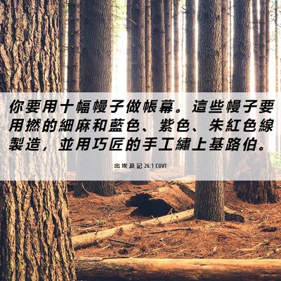 Picture 06 - 出 埃 及 記 26:1 CUVT - 你 要 用 十 幅 幔 子 做 帳 幕 。 這 - Bible Verse Picture