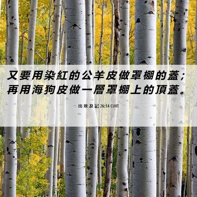 Picture 06 - 出 埃 及 記 26:14 CUVT - 又 要 用 染 紅 的 公 羊 皮 做 罩 棚 - Bible Verse Picture