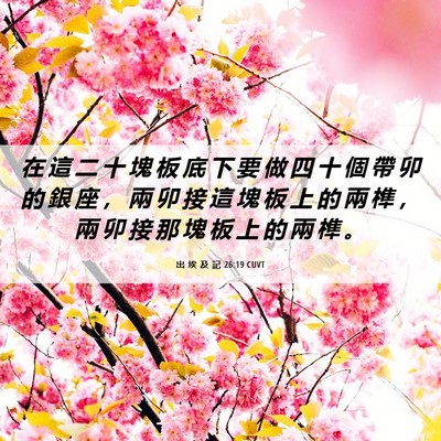 Picture 06 - 出 埃 及 記 26:19 CUVT - 在 這 二 十 塊 板 底 下 要 做 四 十 - Bible Verse Picture