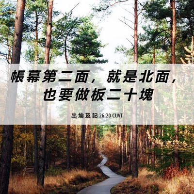 Picture 06 - 出 埃 及 記 26:20 CUVT - 帳 幕 第 二 面 ， 就 是 北 面 ， 也 - Bible Verse Picture