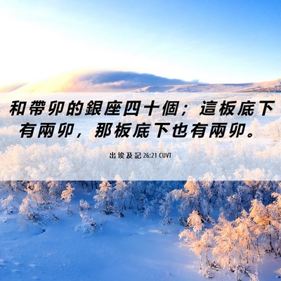 Picture 06 - 出 埃 及 記 26:21 CUVT - 和 帶 卯 的 銀 座 四 十 個 ； 這 板 - Bible Verse Picture