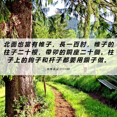 Picture 06 - 出 埃 及 記 27:11 CUVT - 北 面 也 當 有 帷 子 ， 長 一 百 肘 - Bible Verse Picture