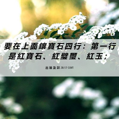 Picture 06 - 出 埃 及 記 28:17 CUVT - 要 在 上 面 鑲 寶 石 四 行 ： 第 一 - Bible Verse Picture