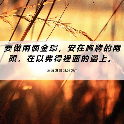 Picture 06 - 出 埃 及 記 28:26 CUVT - 要 做 兩 個 金 環 ， 安 在 胸 牌 的 - Bible Verse Picture