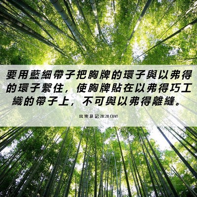 Picture 06 - 出 埃 及 記 28:28 CUVT - 要 用 藍 細 帶 子 把 胸 牌 的 環 子 - Bible Verse Picture