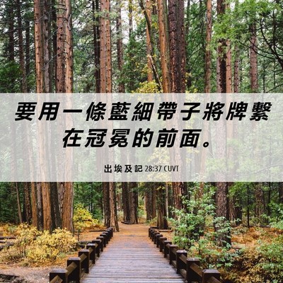 Picture 06 - 出 埃 及 記 28:37 CUVT - 要 用 一 條 藍 細 帶 子 將 牌 繫 在 - Bible Verse Picture