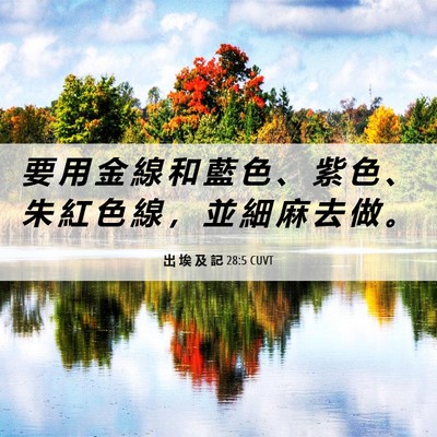 Picture 06 - 出 埃 及 記 28:5 CUVT - 要 用 金 線 和 藍 色 、 紫 色 、 朱 - Bible Verse Picture