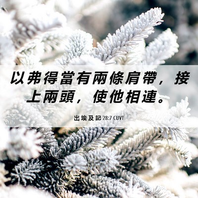 Picture 06 - 出 埃 及 記 28:7 CUVT - 以 弗 得 當 有 兩 條 肩 帶 ， 接 上 - Bible Verse Picture