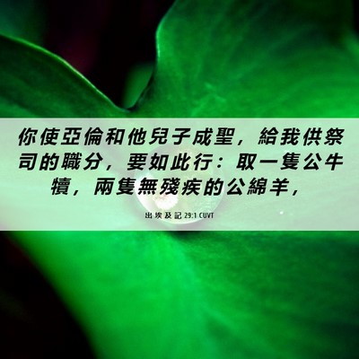 Picture 06 - 出 埃 及 記 29:1 CUVT - 你 使 亞 倫 和 他 兒 子 成 聖 ， 給 - Bible Verse Picture