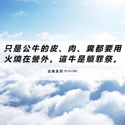 Picture 06 - 出 埃 及 記 29:14 CUVT - 只 是 公 牛 的 皮 、 肉 、 糞 都 要 - Bible Verse Picture