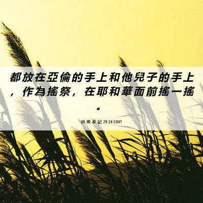 Picture 06 - 出 埃 及 記 29:24 CUVT - 都 放 在 亞 倫 的 手 上 和 他 兒 子 - Bible Verse Picture