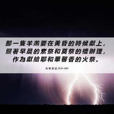 Picture 06 - 出 埃 及 記 29:41 CUVT - 那 一 隻 羊 羔 要 在 黃 昏 的 時 候 - Bible Verse Picture