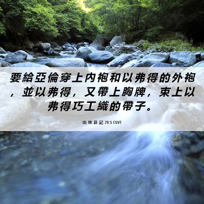 Picture 06 - 出 埃 及 記 29:5 CUVT - 要 給 亞 倫 穿 上 內 袍 和 以 弗 得 - Bible Verse Picture