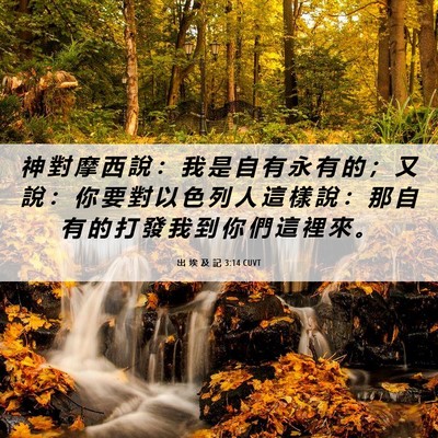 Picture 06 - 出 埃 及 記 3:14 CUVT - 神 對 摩 西 說 ： 我 是 自 有 永 有 - Bible Verse Picture