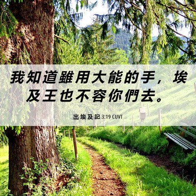 Picture 06 - 出 埃 及 記 3:19 CUVT - 我 知 道 雖 用 大 能 的 手 ， 埃 及 - Bible Verse Picture