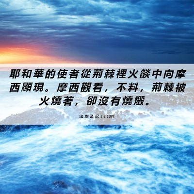 Picture 06 - 出 埃 及 記 3:2 CUVT - 耶 和 華 的 使 者 從 荊 棘 裡 火 燄 - Bible Verse Picture