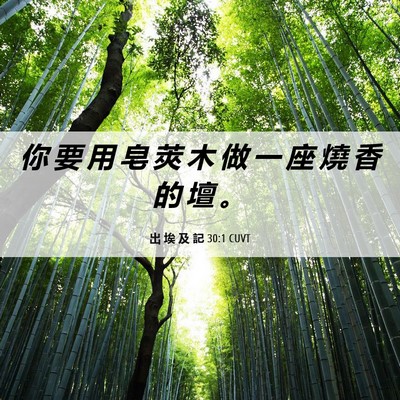 Picture 06 - 出 埃 及 記 30:1 CUVT - 你 要 用 皂 莢 木 做 一 座 燒 香 的 - Bible Verse Picture