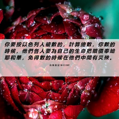 Picture 06 - 出 埃 及 記 30:12 CUVT - 你 要 按 以 色 列 人 被 數 的 ， 計 - Bible Verse Picture