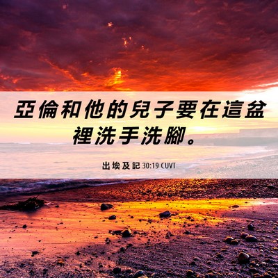 Picture 06 - 出 埃 及 記 30:19 CUVT - 亞 倫 和 他 的 兒 子 要 在 這 盆 裡 - Bible Verse Picture