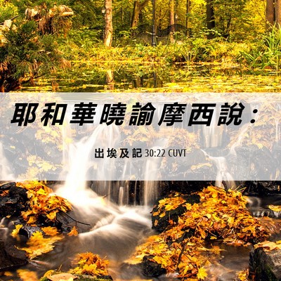 Picture 06 - 出 埃 及 記 30:22 CUVT - 耶 和 華 曉 諭 摩 西 說 - Bible Verse Picture