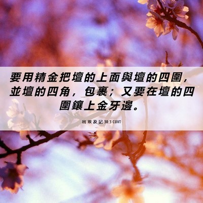 Picture 06 - 出 埃 及 記 30:3 CUVT - 要 用 精 金 把 壇 的 上 面 與 壇 的 - Bible Verse Picture
