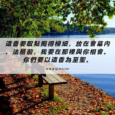 Picture 06 - 出 埃 及 記 30:36 CUVT - 這 香 要 取 點 搗 得 極 細 ， 放 在 - Bible Verse Picture
