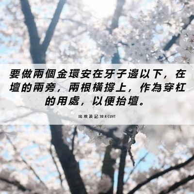 Picture 06 - 出 埃 及 記 30:4 CUVT - 要 做 兩 個 金 環 安 在 牙 子 邊 以 - Bible Verse Picture