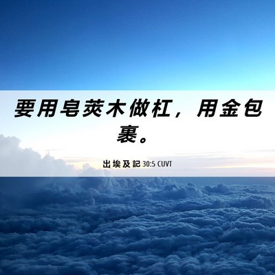 Picture 06 - 出 埃 及 記 30:5 CUVT - 要 用 皂 莢 木 做 杠 ， 用 金 包 裹 - Bible Verse Picture
