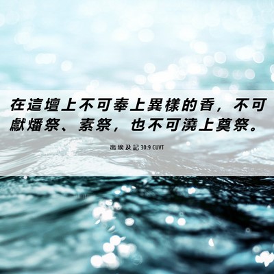 Picture 06 - 出 埃 及 記 30:9 CUVT - 在 這 壇 上 不 可 奉 上 異 樣 的 香 - Bible Verse Picture