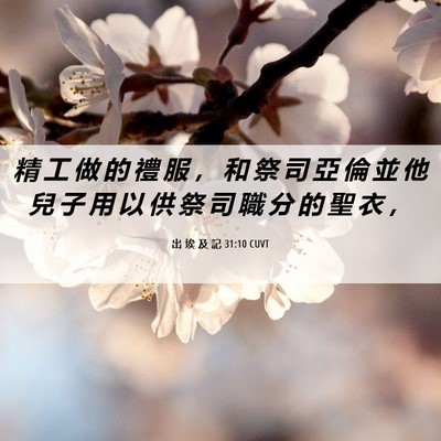 Picture 06 - 出 埃 及 記 31:10 CUVT - 精 工 做 的 禮 服 ， 和 祭 司 亞 倫 - Bible Verse Picture