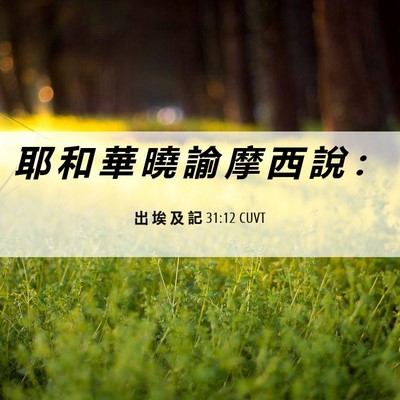 Picture 06 - 出 埃 及 記 31:12 CUVT - 耶 和 華 曉 諭 摩 西 說 - Bible Verse Picture