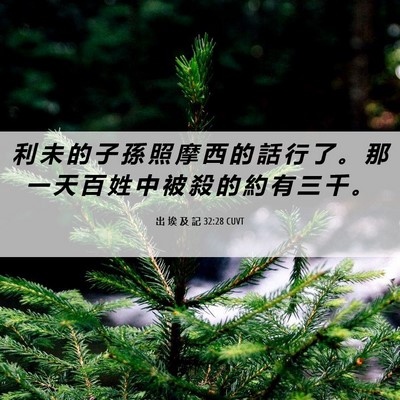 Picture 06 - 出 埃 及 記 32:28 CUVT - 利 未 的 子 孫 照 摩 西 的 話 行 了 - Bible Verse Picture
