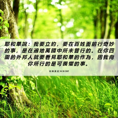 Picture 06 - 出 埃 及 記 34:10 CUVT - 耶 和 華 說 ： 我 要 立 約 ， 要 在 - Bible Verse Picture