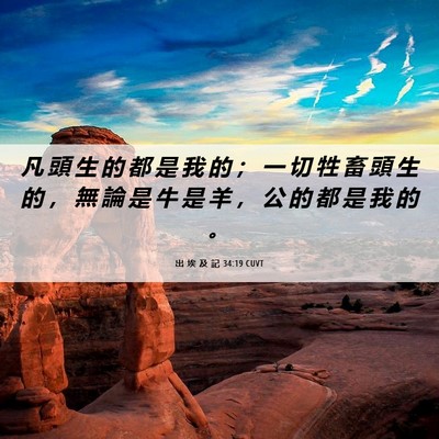 Picture 06 - 出 埃 及 記 34:19 CUVT - 凡 頭 生 的 都 是 我 的 ； 一 切 牲 - Bible Verse Picture