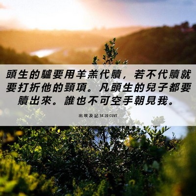 Picture 06 - 出 埃 及 記 34:20 CUVT - 頭 生 的 驢 要 用 羊 羔 代 贖 ， 若 - Bible Verse Picture