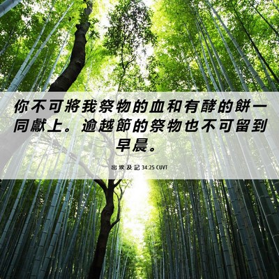 Picture 06 - 出 埃 及 記 34:25 CUVT - 你 不 可 將 我 祭 物 的 血 和 有 酵 - Bible Verse Picture