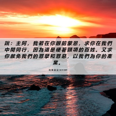 Picture 06 - 出 埃 及 記 34:9 CUVT - 說 ： 主 阿 ， 我 若 在 你 眼 前 蒙 - Bible Verse Picture