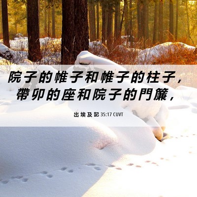 Picture 06 - 出 埃 及 記 35:17 CUVT - 院 子 的 帷 子 和 帷 子 的 柱 子 ， - Bible Verse Picture