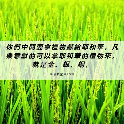 Picture 06 - 出 埃 及 記 35:5 CUVT - 你 們 中 間 要 拿 禮 物 獻 給 耶 和 - Bible Verse Picture
