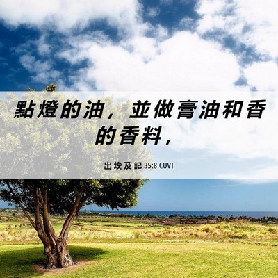 Picture 06 - 出 埃 及 記 35:8 CUVT - 點 燈 的 油 ， 並 做 膏 油 和 香 的 - Bible Verse Picture