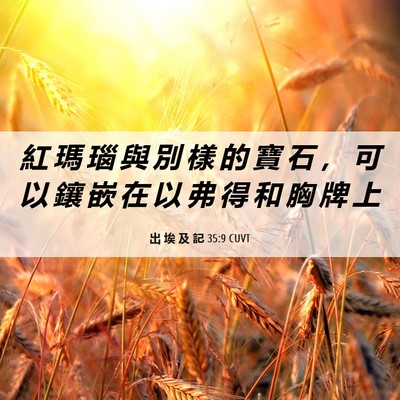 Picture 06 - 出 埃 及 記 35:9 CUVT - 紅 瑪 瑙 與 別 樣 的 寶 石 ， 可 以 - Bible Verse Picture