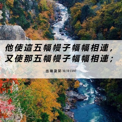 Picture 06 - 出 埃 及 記 36:10 CUVT - 他 使 這 五 幅 幔 子 幅 幅 相 連 ， - Bible Verse Picture