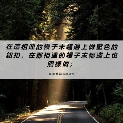Picture 06 - 出 埃 及 記 36:11 CUVT - 在 這 相 連 的 幔 子 末 幅 邊 上 做 - Bible Verse Picture