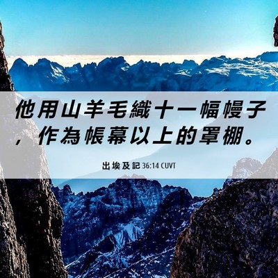 Picture 06 - 出 埃 及 記 36:14 CUVT - 他 用 山 羊 毛 織 十 一 幅 幔 子 ， - Bible Verse Picture