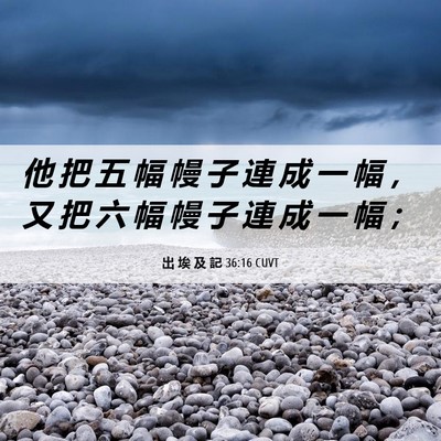 Picture 06 - 出 埃 及 記 36:16 CUVT - 他 把 五 幅 幔 子 連 成 一 幅 ， 又 - Bible Verse Picture