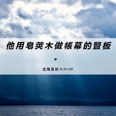 Picture 06 - 出 埃 及 記 36:20 CUVT - 他 用 皂 莢 木 做 帳 幕 的 豎 板 - Bible Verse Picture