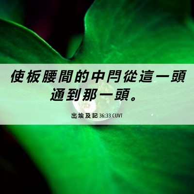 Picture 06 - 出 埃 及 記 36:33 CUVT - 使 板 腰 間 的 中 閂 從 這 一 頭 通 - Bible Verse Picture