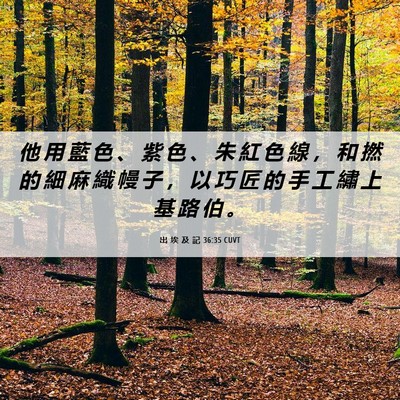 Picture 06 - 出 埃 及 記 36:35 CUVT - 他 用 藍 色 、 紫 色 、 朱 紅 色 線 - Bible Verse Picture