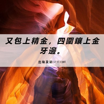 Picture 06 - 出 埃 及 記 37:11 CUVT - 又 包 上 精 金 ， 四 圍 鑲 上 金 牙 - Bible Verse Picture