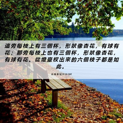 Picture 06 - 出 埃 及 記 37:19 CUVT - 這 旁 每 枝 上 有 三 個 杯 ， 形 狀 - Bible Verse Picture